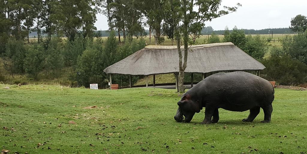 Plettenberg Bay Game Reserve: The Baroness Safari Lodge מראה חיצוני תמונה